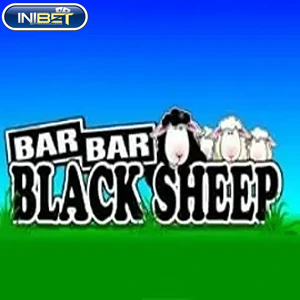 Barbar Black sheep