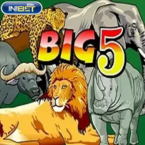 big 5 free slot