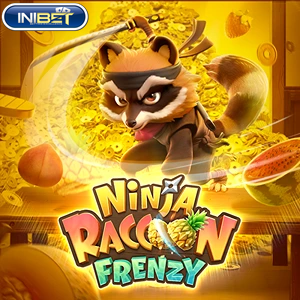 Ninja Racoon Frenzy